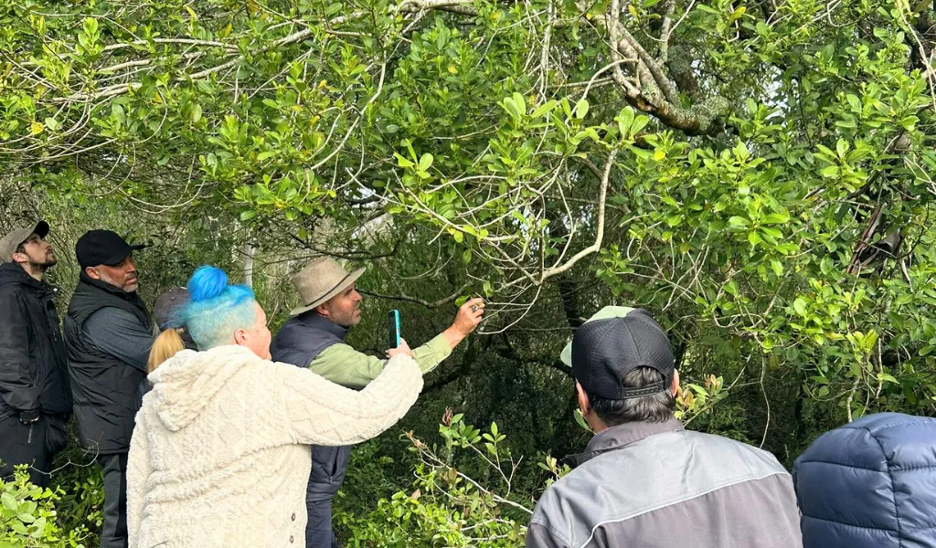 Equipo relevando árboles del monte nativo en la Reserva Natural 7 Generaciones